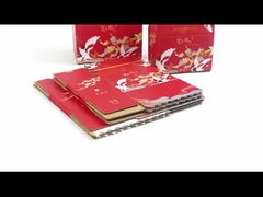 Custom Logo Zipper Verscheping Post Klebbare Teal Open Postal Zelfzegel Papierdoos